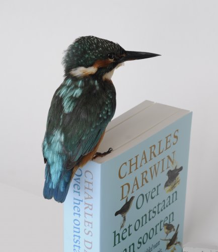 Interessante links en downloads